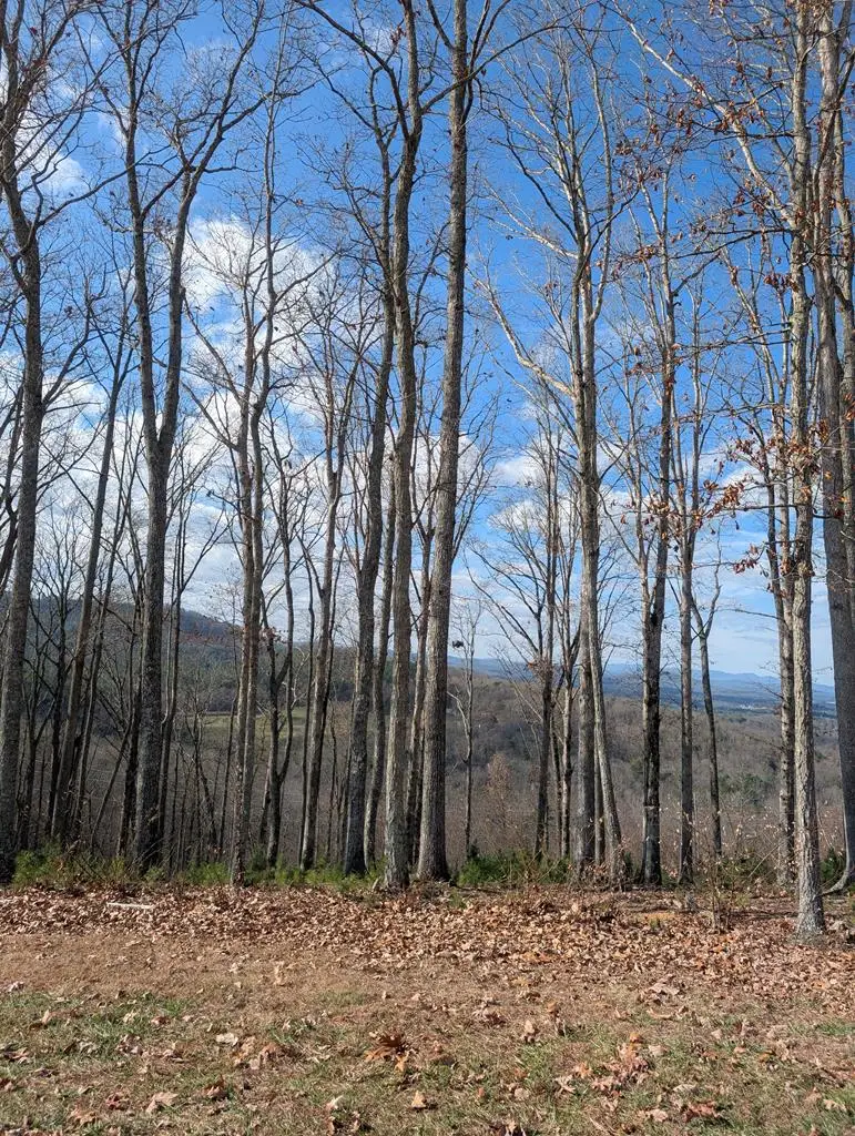 Lot 91 Winding Ridge, Blairsville, GA 30512 - #1