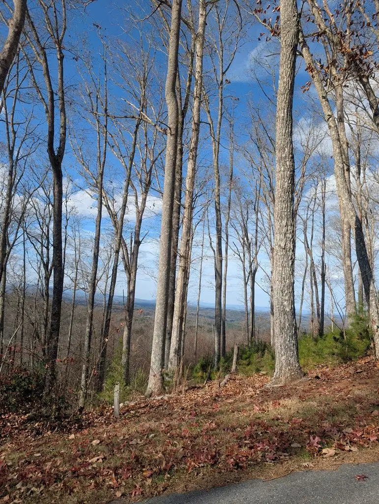 Lot 91 Winding Ridge, Blairsville, GA 30512 - #2