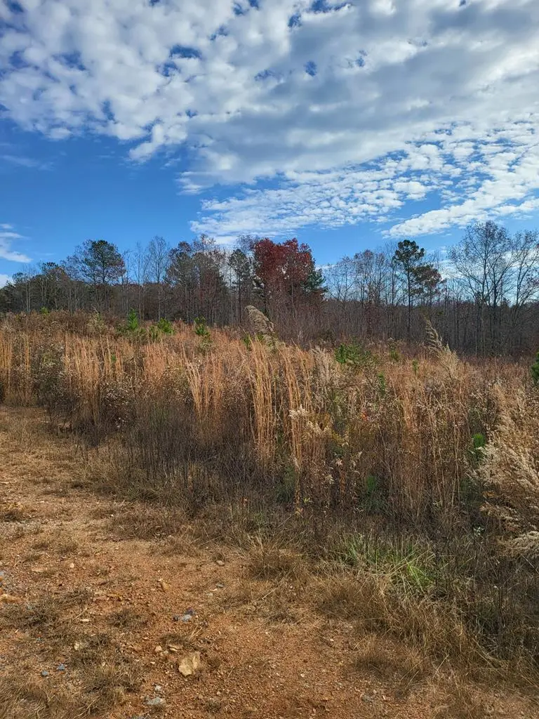 00 Highgrove Drive, Ellijay, GA 30540 - Image #2