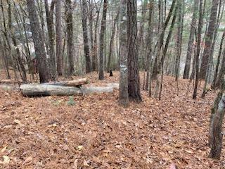 Lot 1375 Lyric Lane, Ellijay, GA 30540 - Image #1
