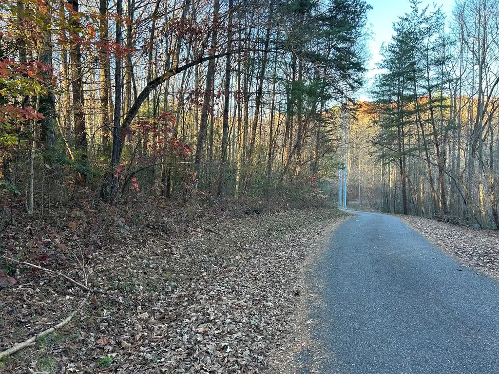 Lot 11 Tombstone Drive, Blairsville, GA 30512 - Image #1