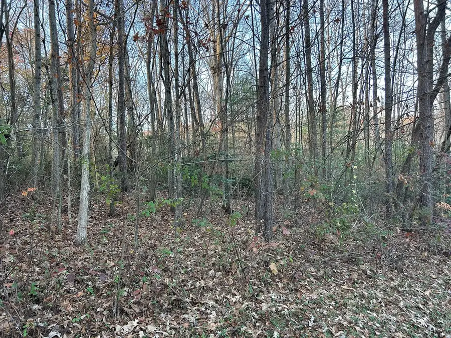 Lot 11 Tombstone Drive, Blairsville, GA 30512 - Image #2