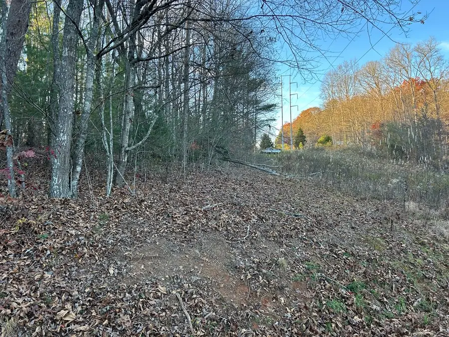 Lot 11 Tombstone Drive, Blairsville, GA 30512 - Image #3