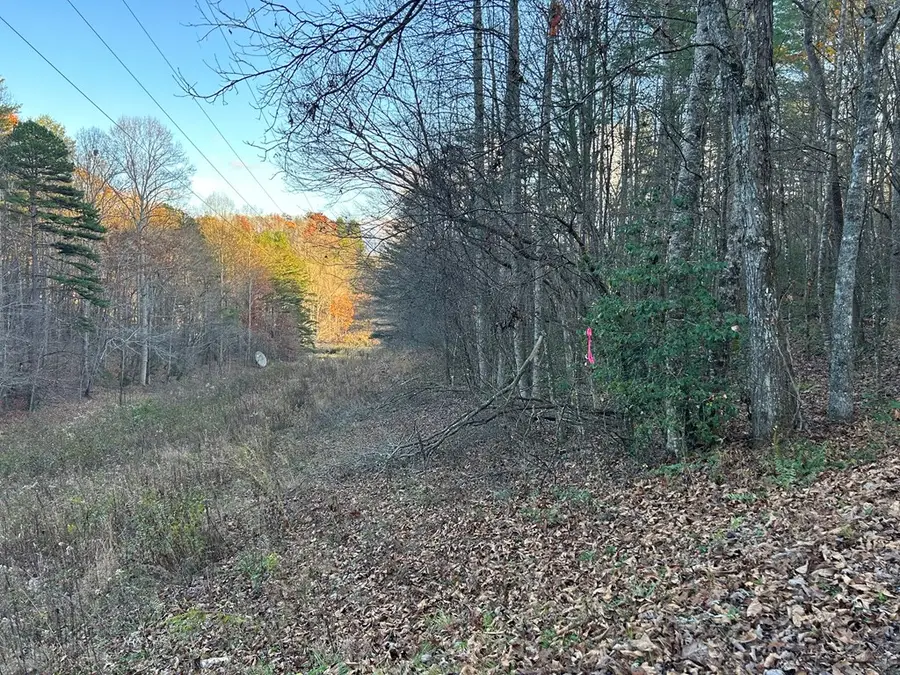 Lot 12 Tombstone Drive, Blairsville, GA 30512 - Image #3