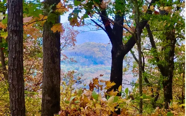 43.91 Old Burnt Mountain Road, Ellijay, GA 30540