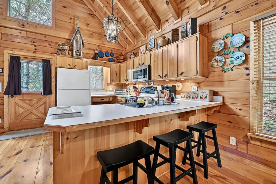 90 Dupont Drive, Blue Ridge, GA 30513 - Image #3