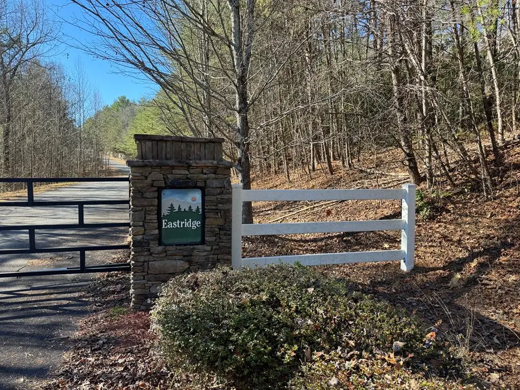 Lot 33 East Ridge Lane, Ellijay, GA 30536 - #1