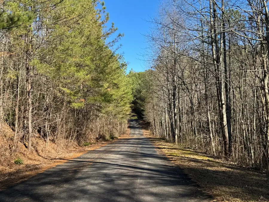 Lot 33 East Ridge Lane, Ellijay, GA 30536 - #3