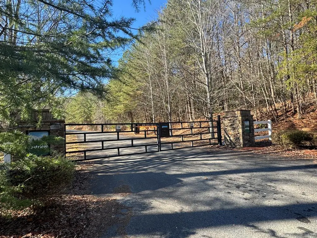 Lot 32 East Ridge Lane, Ellijay, GA 30536 - Image #1