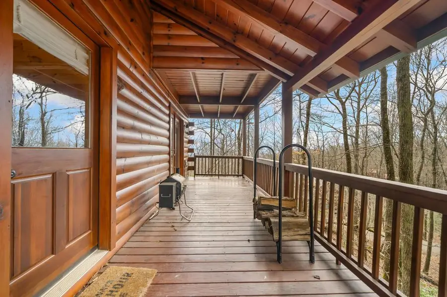 541 Little Bushy Head Road, Cherry Log, GA 30522 - Image #2