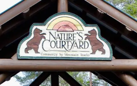 22 Walker Ridge, Mineral Bluff, GA 30559 - #3