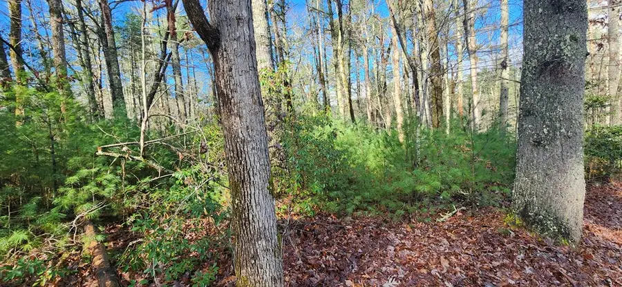 3 Lots Ridgecrest Drive, Blue Ridge, GA 30513 - Image #2