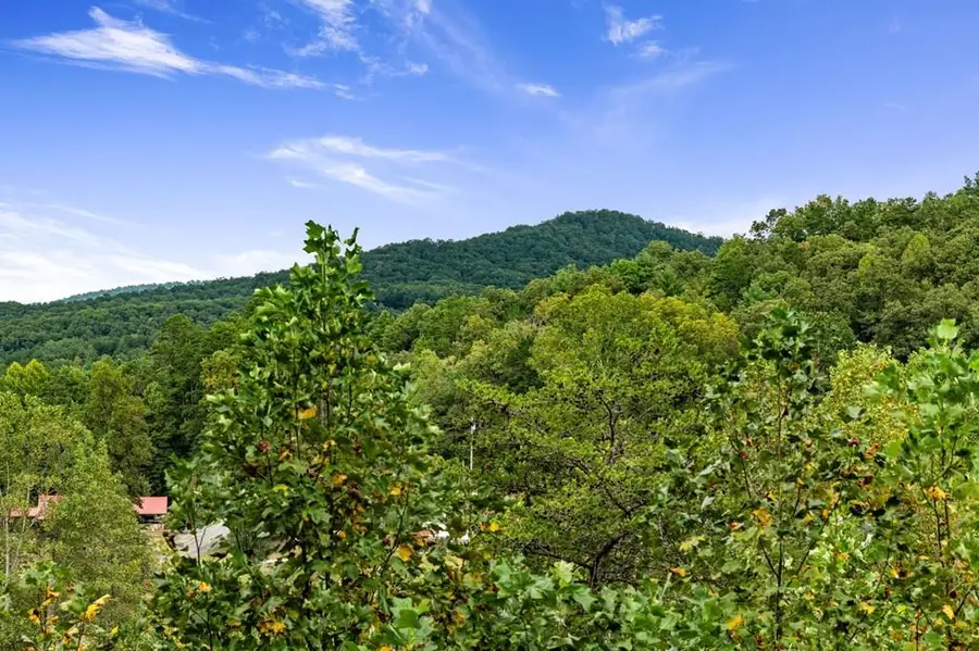 6 Gilliam Road, Mineral Bluff, GA 30559 - Image #2