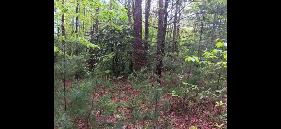 00 Old Parker Terrace, Ellijay, GA 30536 - Image #2