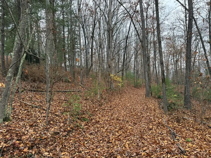 0 Rosenkrandz Lane, Hayesville, NC 28904 - Image #2