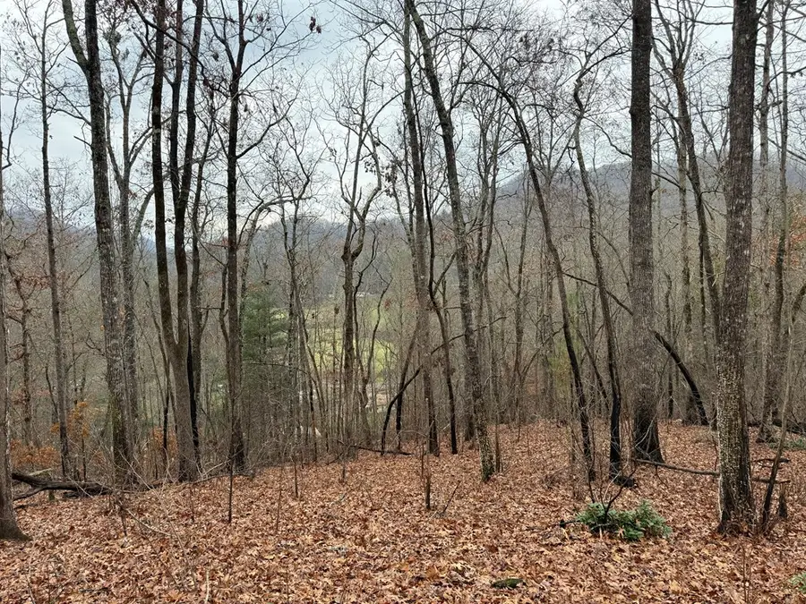 101 Flaming Ridge, Hayesville, NC 28904 - Image #2