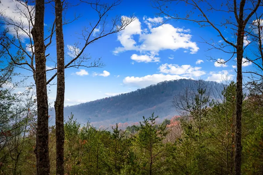 126 Sugar Mountain Road, Blue Ridge, GA 30513 - Image #3