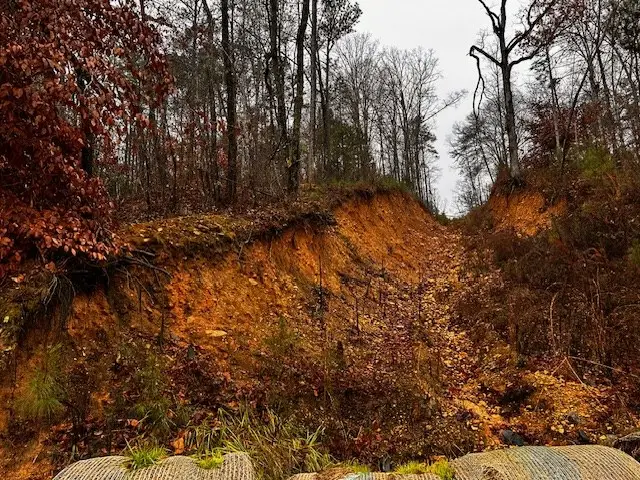 000 Talona Road, Ellijay, GA 30540 - #2