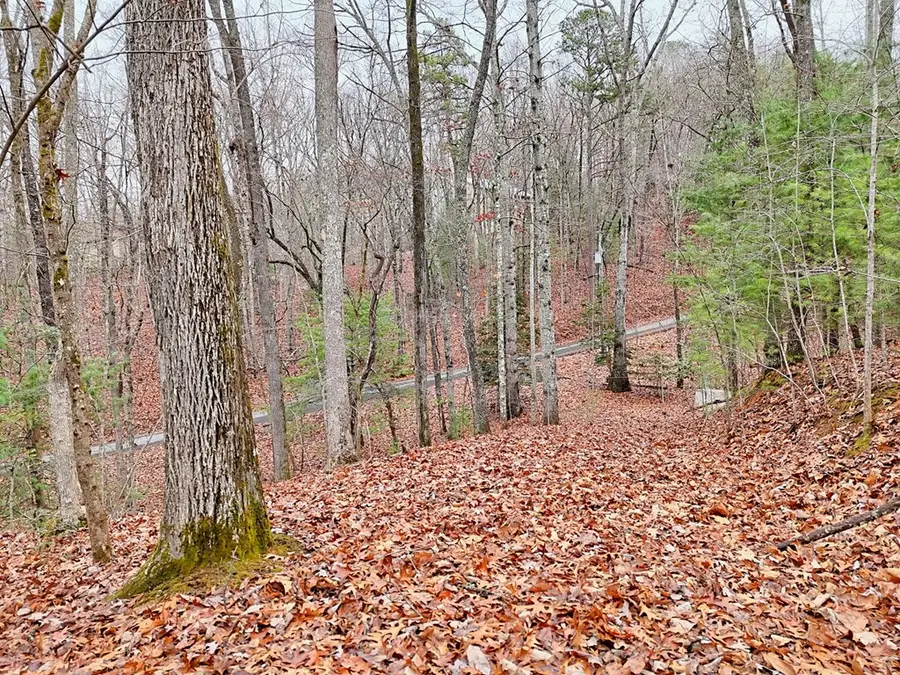 Tract 3 Wilmar Circle, Blairsville, GA 30512 - Image #3