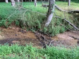 LT 3505R Castle Court, Ellijay, GA 30540 - Image #2