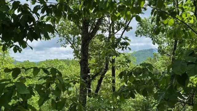 108 Crabapple Lane, Mineral Bluff, GA 30559 - Image #2