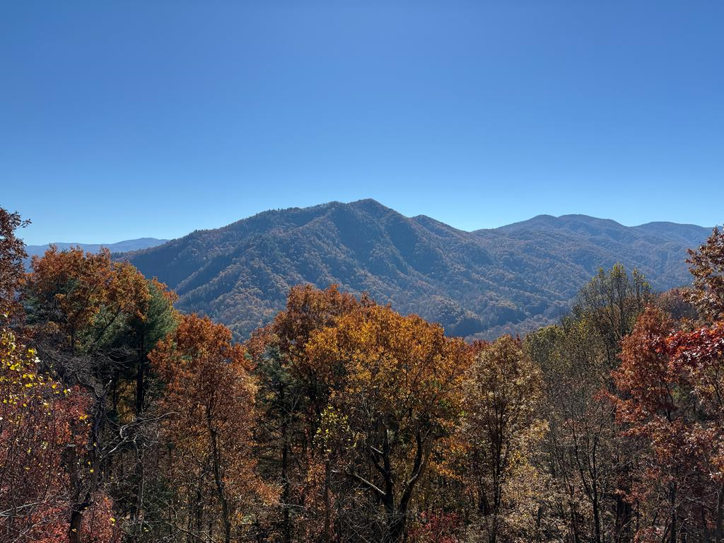 65 Acres Long Branch Road, Topton, NC 28781 - Image #1