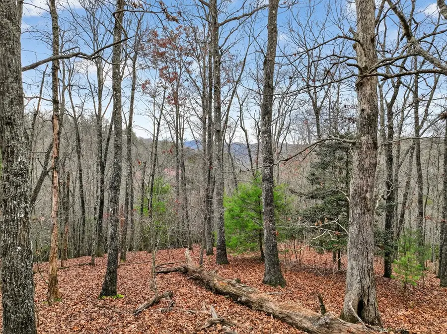 Lot 99 Woodlands Bluff Lane, Mineral Bluff, GA 30559 - Image #3