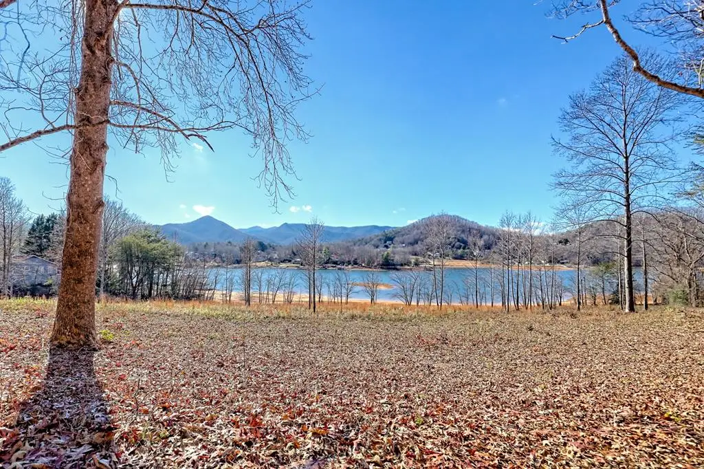 314 Lakeside Drive, Hiawassee, GA 30546 - #1