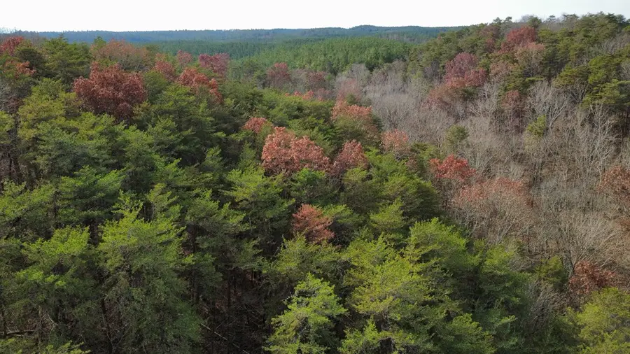 Tract 30 Gillespie Road, Fairmount, GA 30139 - Image #2