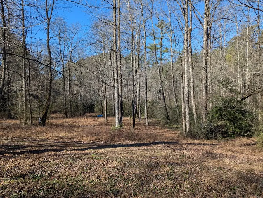 940 Fowler, Ellijay, GA 30540 - Image #2