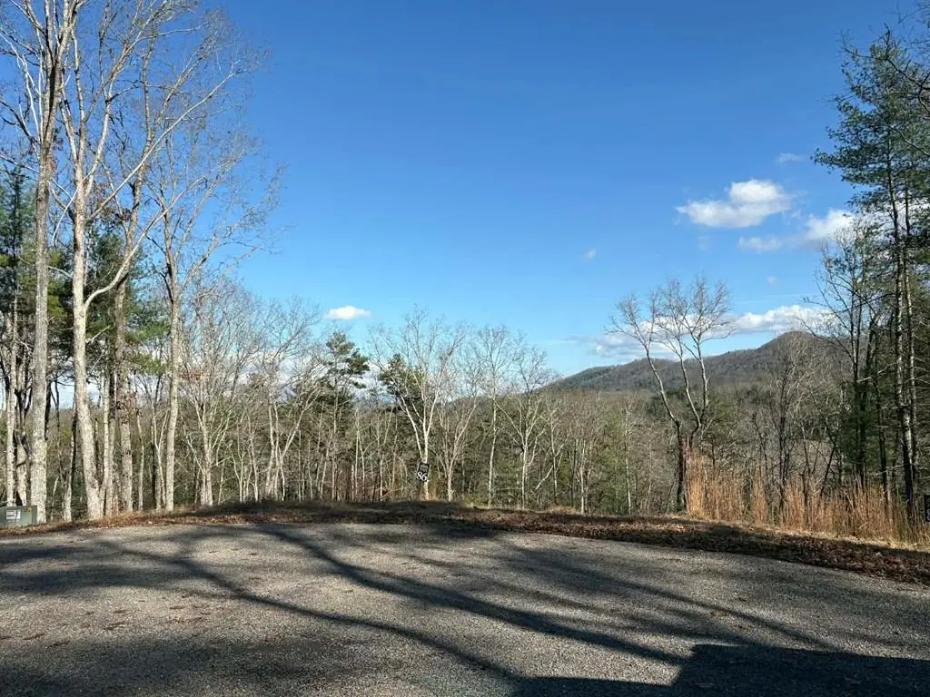 Lot 86 Lookout Ridge, Mineral Bluff, GA 30559 - #1