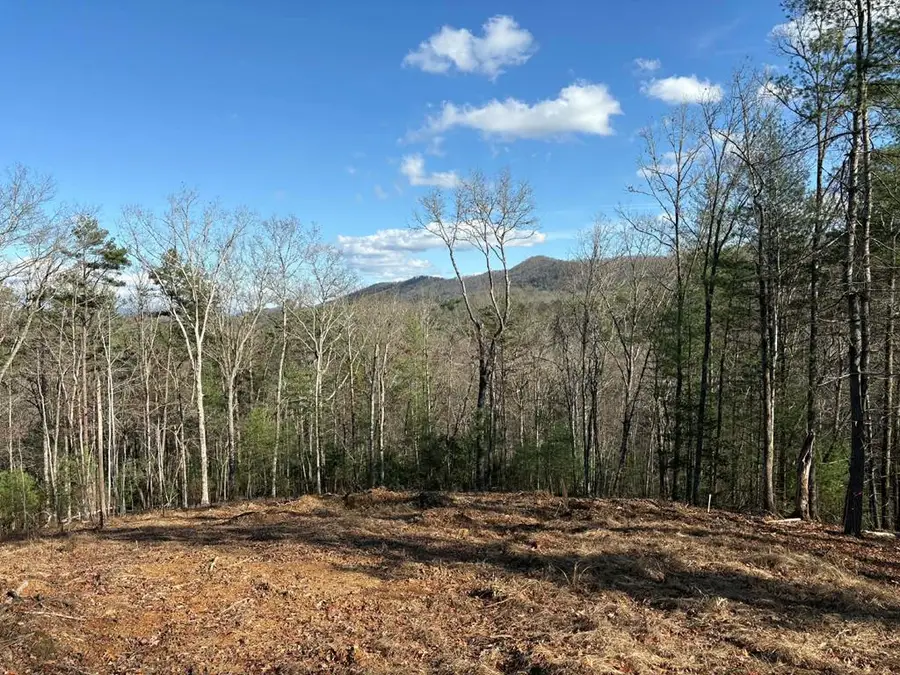 Lot 86 Lookout Ridge, Mineral Bluff, GA 30559 - #2