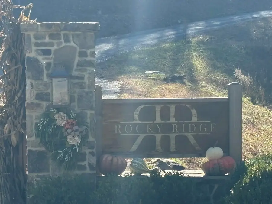 Lot 86 Lookout Ridge, Mineral Bluff, GA 30559 - #3