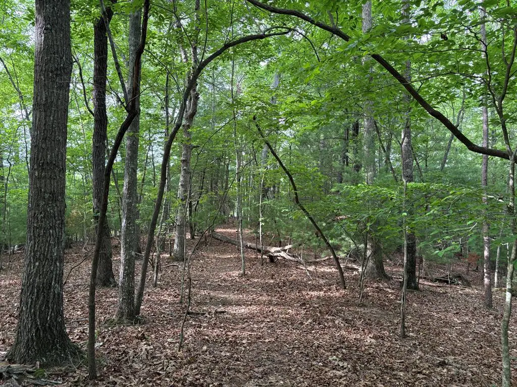 0 Walker Drive, Morganton, GA 30560 - Image #1