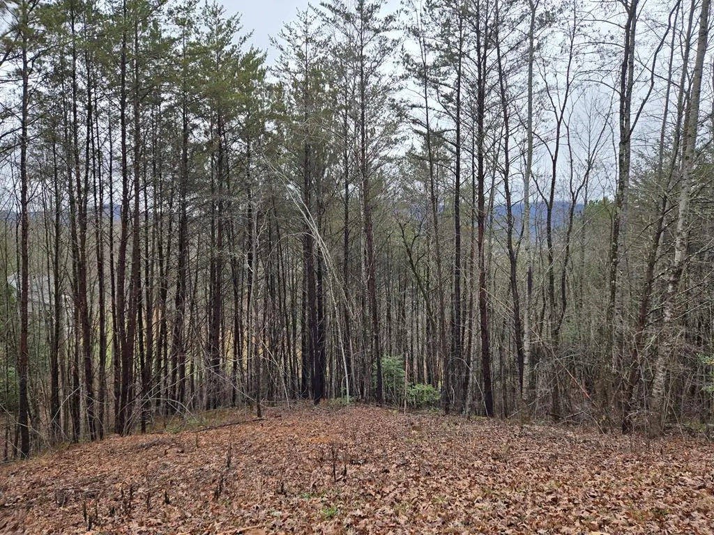Lot 101 Eagles View Crescent, Hayesville, NC 28904 - Image #1