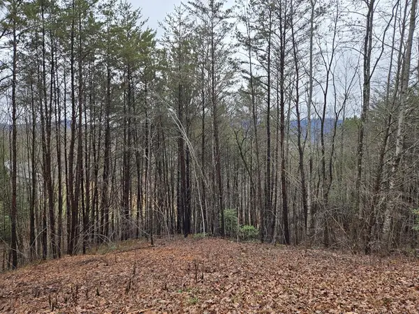 Lot 101 Eagles View Crescent, Hayesville, NC 28904