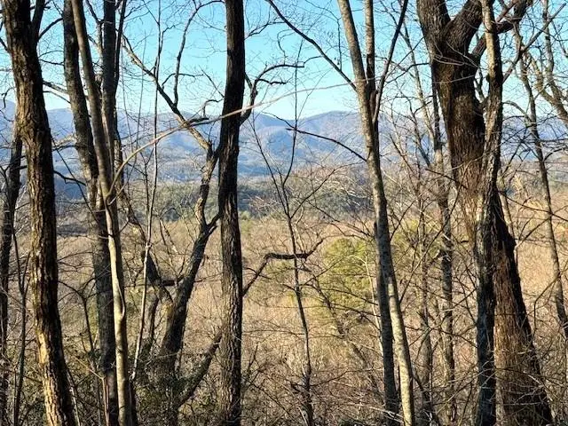 7.0 ac Laurel Drive, Marble, NC 28905 - Image #1