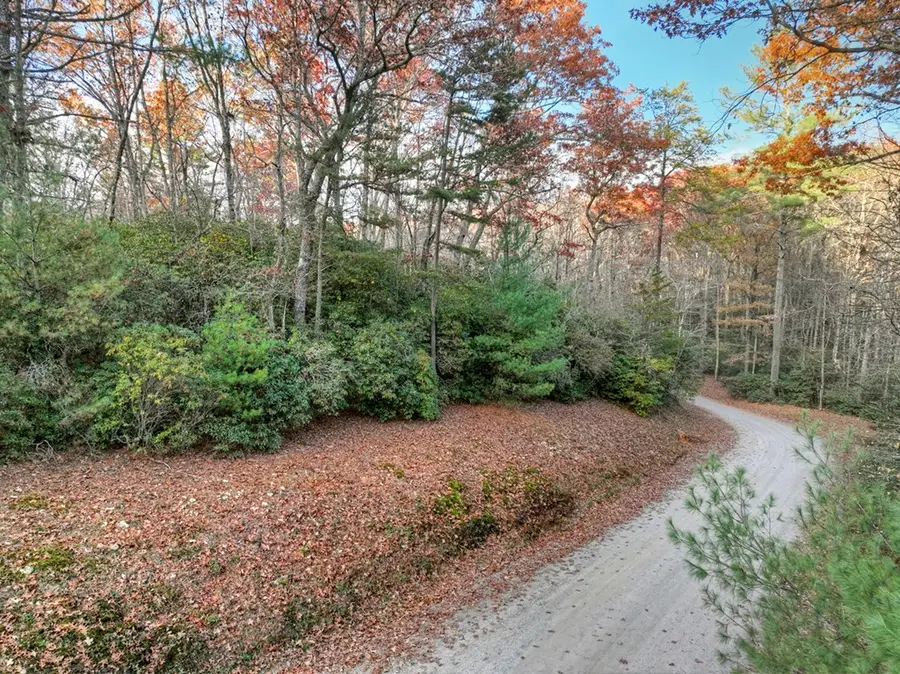 Lot 11 Creek Camp Road, Ellijay, GA 30536 - Image #3
