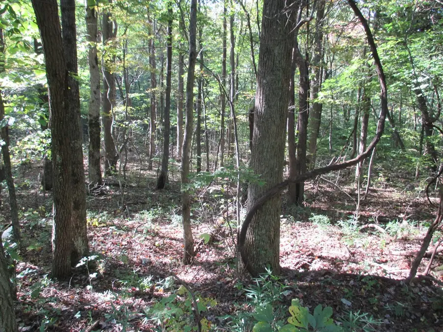 00 Lower Sassafras Parkway, Jasper, GA 30143 - Image #2