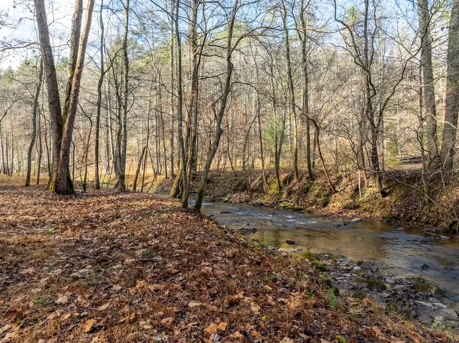 894 Hap Holt Road, Ellijay, GA 30540 - Image #3