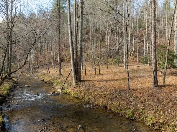 780 Banks Road, Ellijay, GA 30540