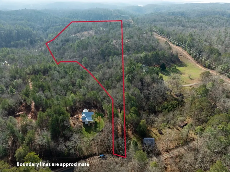 780 Banks Road, Ellijay, GA 30540 - #3