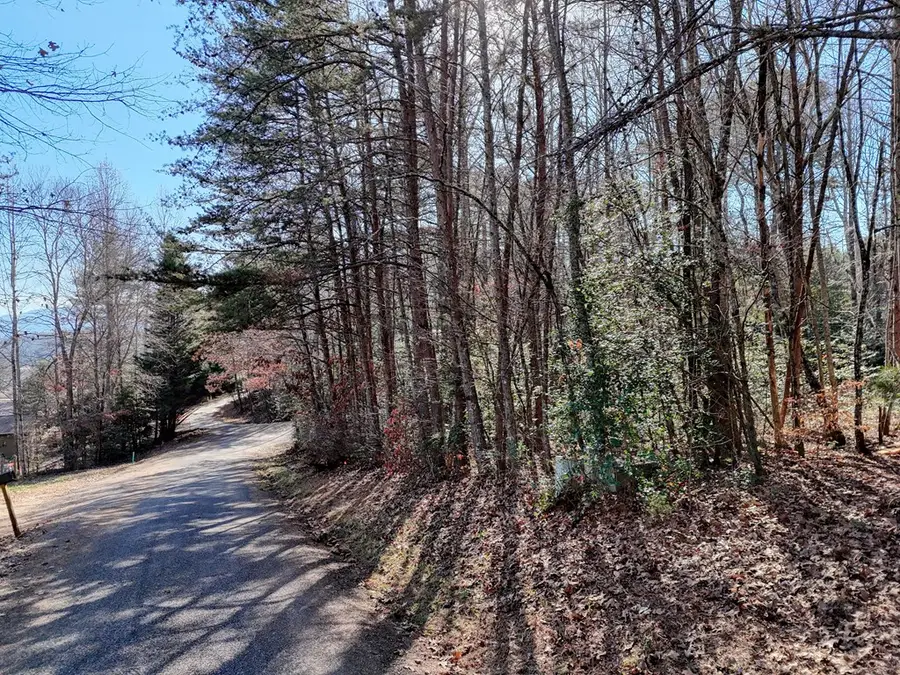 Lot 5 Tombstone Drive, Blairsville, GA 30512 - #2
