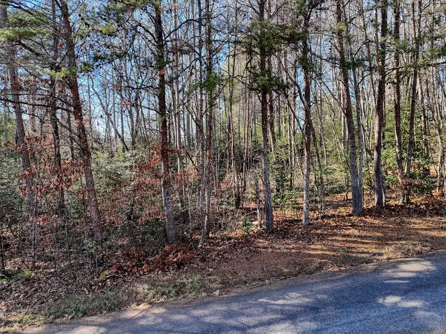 Lot 5 Tombstone Drive, Blairsville, GA 30512 - #3