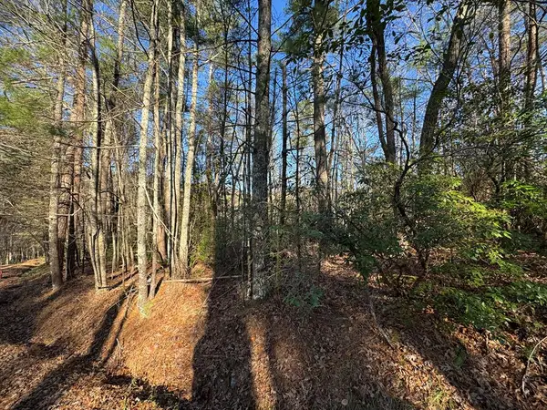 Lot J260 Pine Ridge Road, Ellijay, GA 30536
