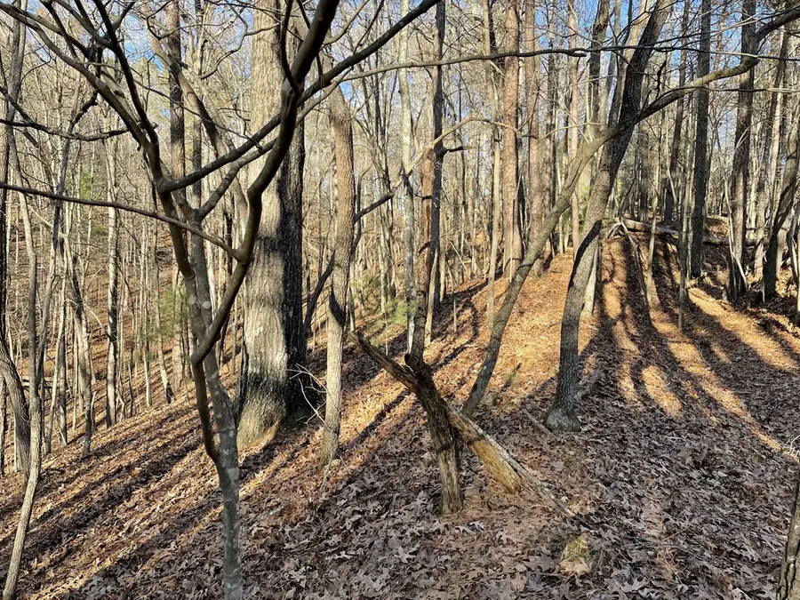 2458 Montage Drive, Carters Lake, GA 30560 - #2