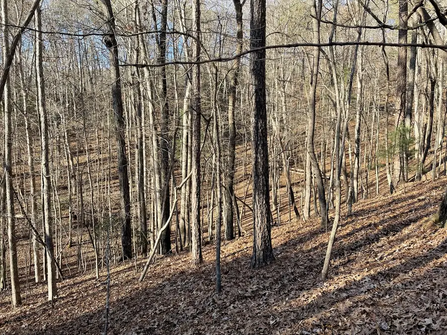 2458 Montage Drive, Carters Lake, GA 30560 - #3