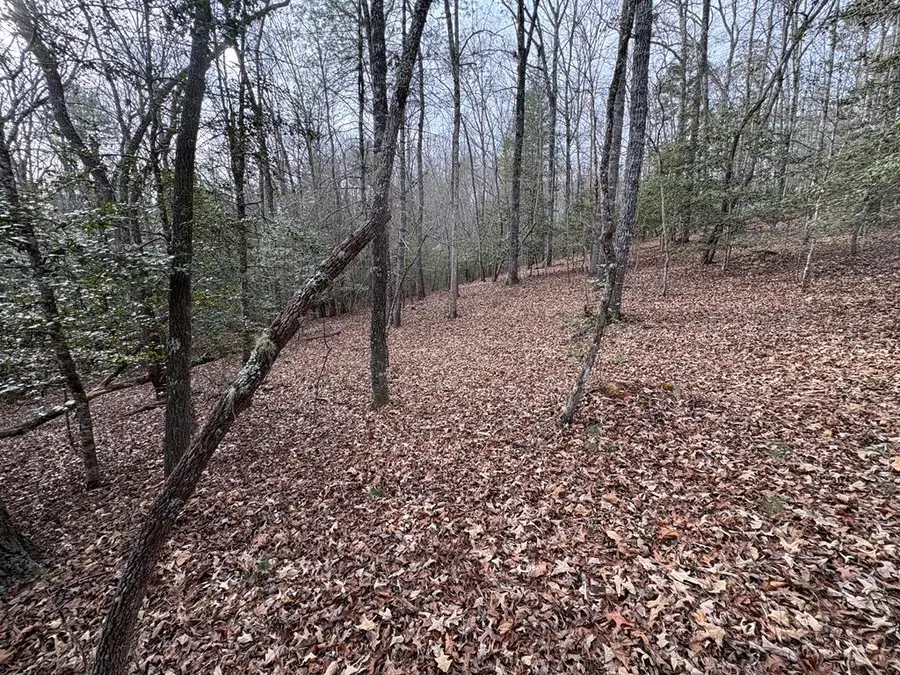 4 Lots Old Johnson Road, Murphy, NC 28906 - Image #2