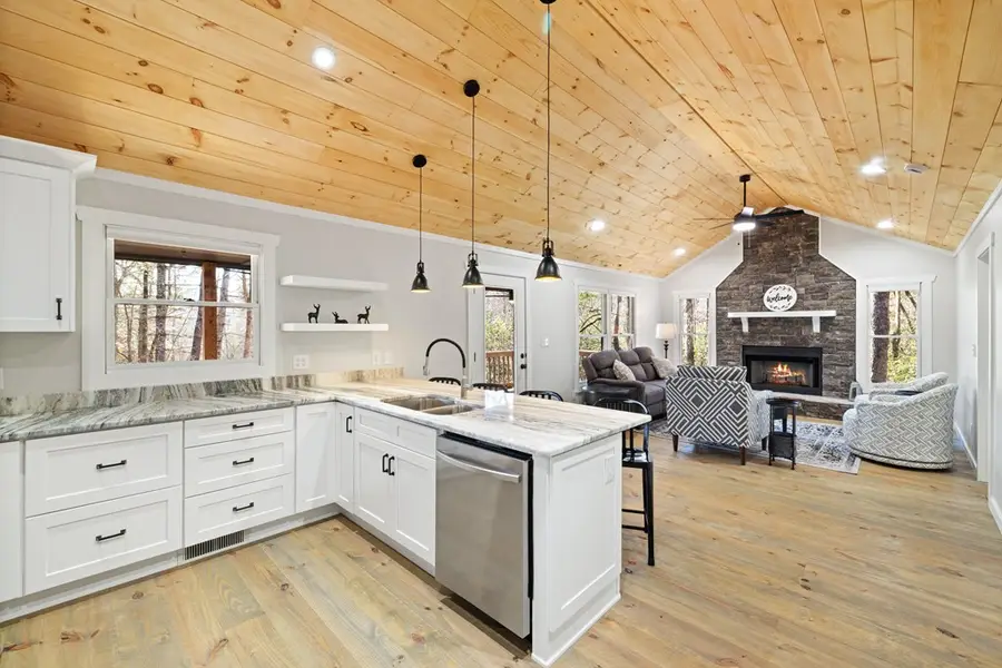 292 Wits End Way, Blue Ridge, GA 30513 - Image #2