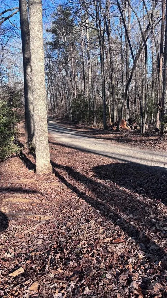 Lot 74 Bice Lane, Blue Ridge, GA 30513 - Image #2